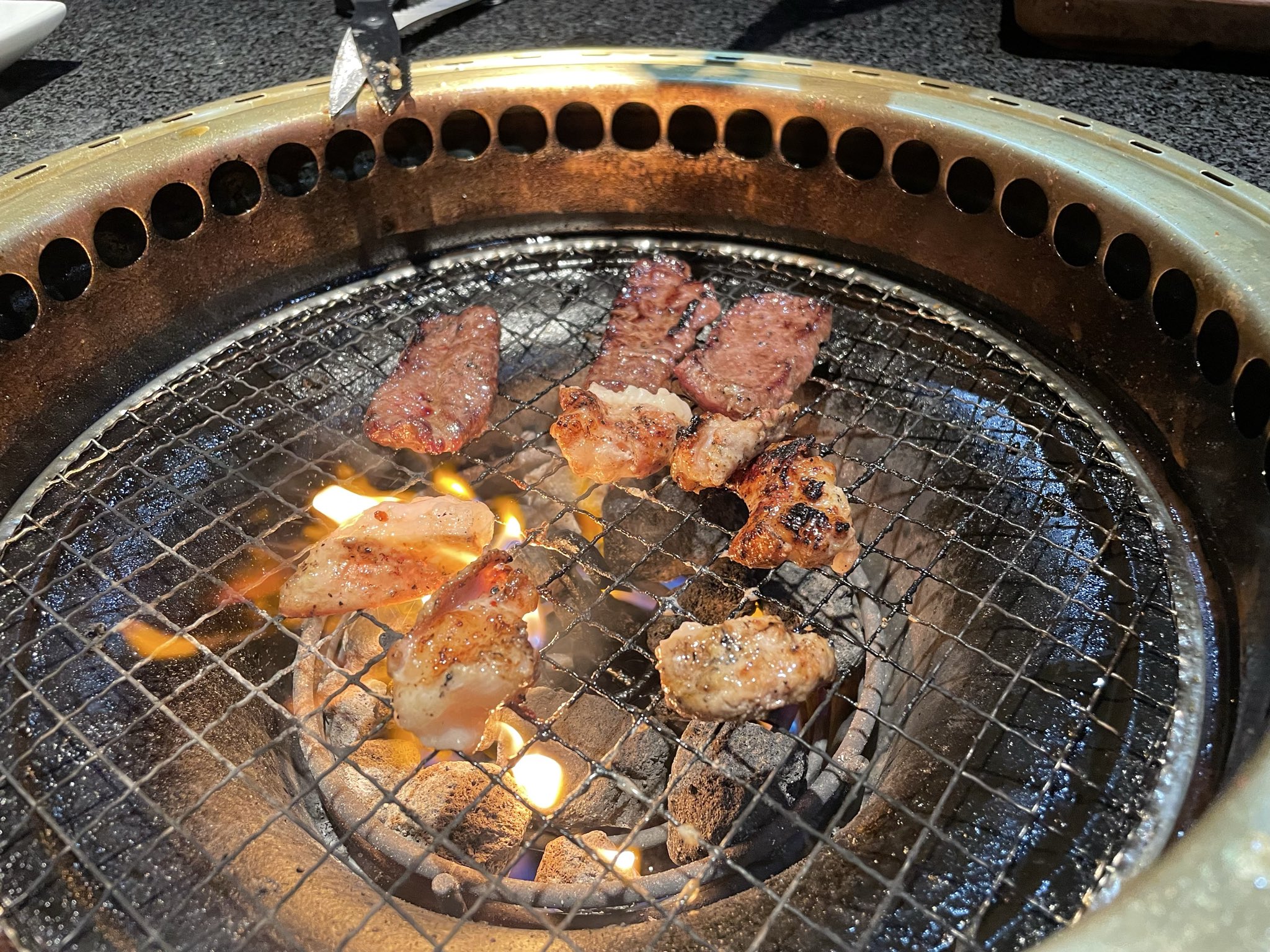 TKページ adidas Originals ZX Torsion | Blue | EE4796-ZX