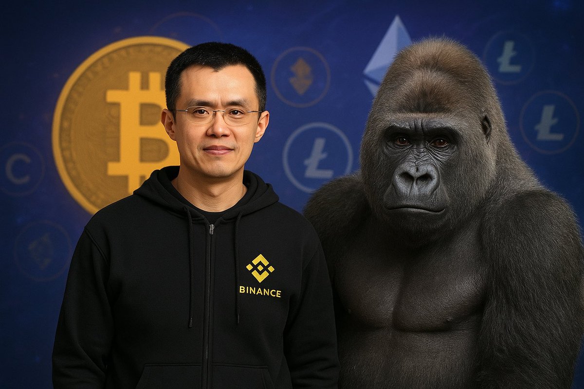 BinhHD66's tweet photo. @cz_binance CZ is as strong as Gorilla https://t.co/A4HUqxjrIB