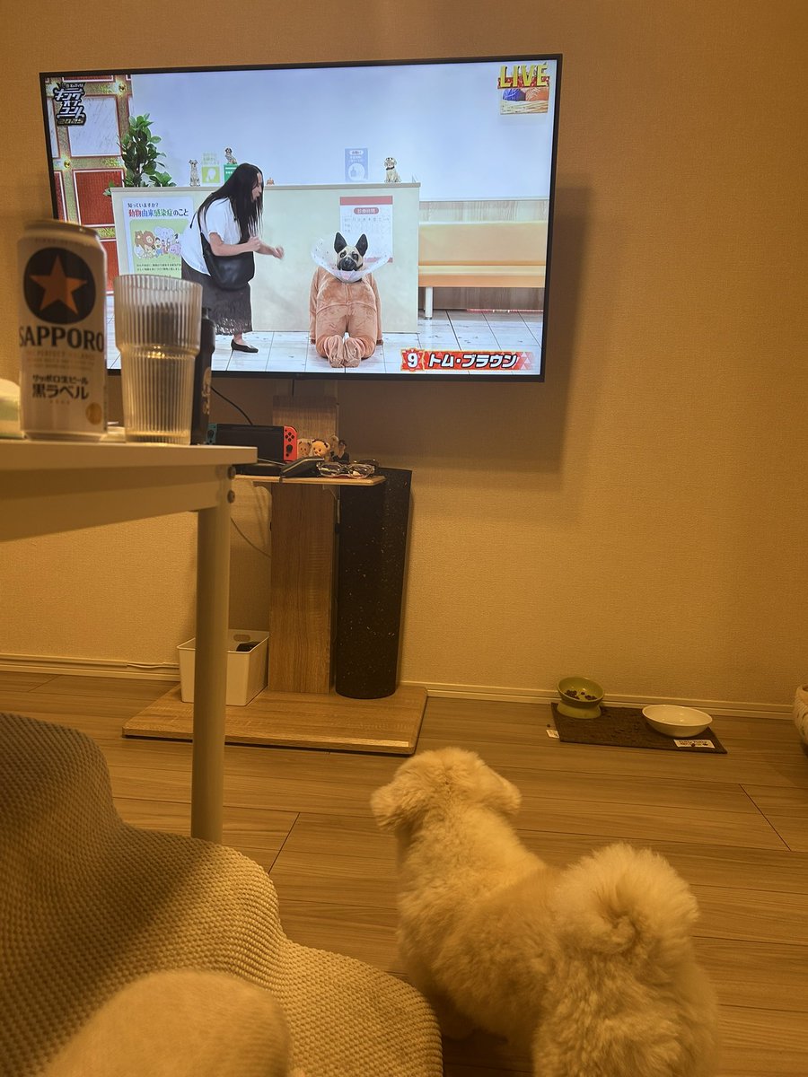 kebabtabeyogabu's tweet image. けばぶがみちおを犬として認識してる