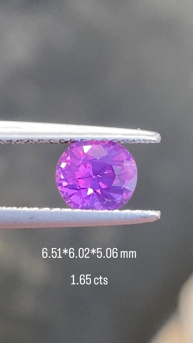 【Masa Gems日本支部】Mame tweet media