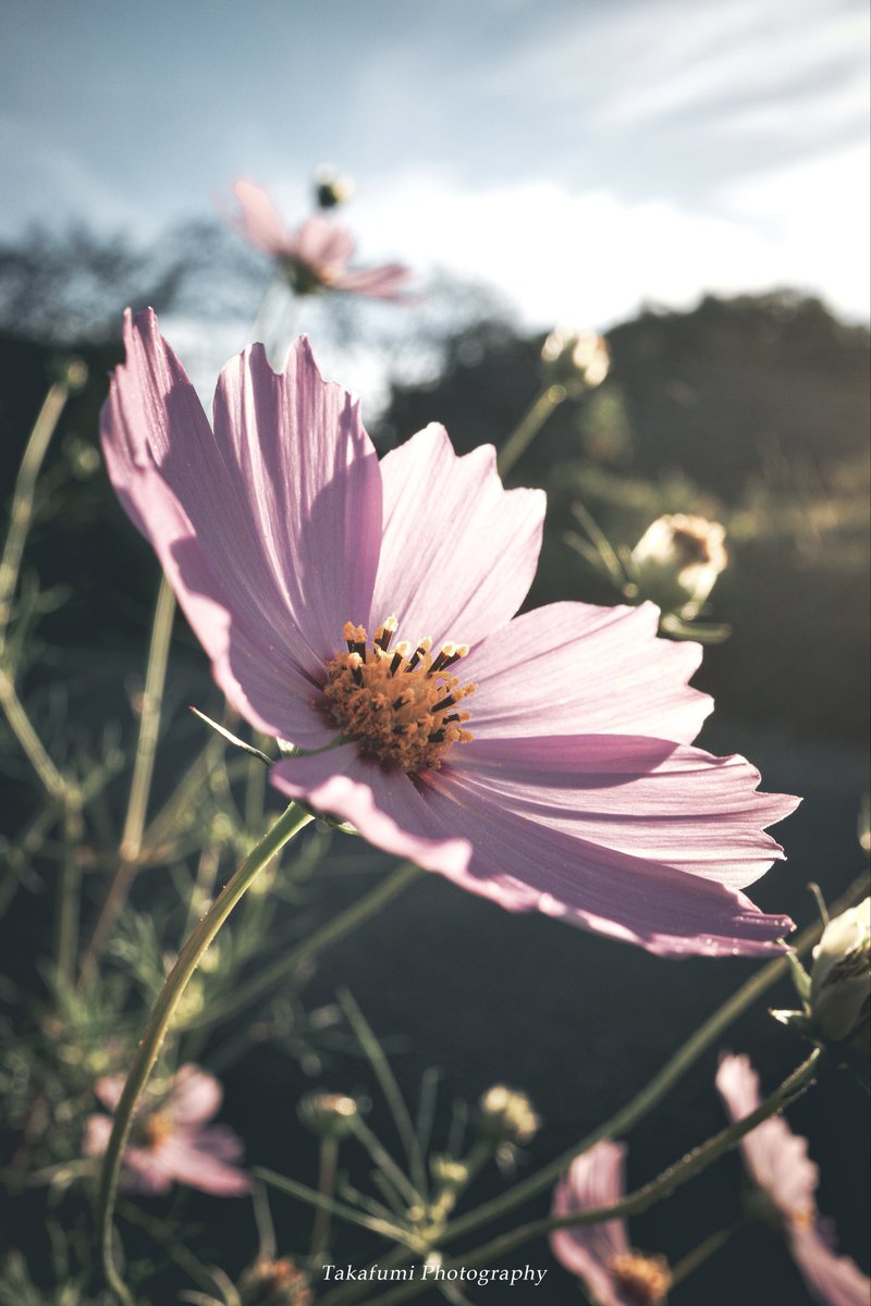 K88Takafumi's tweet image. こんばんは！

10月11日(土)

#キリトリセカイ 
#写真好きな人と繋がりたい
#写真撮ってる人と繋がりたい