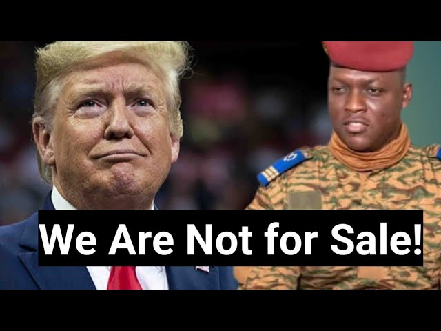 African News feed. tweet media