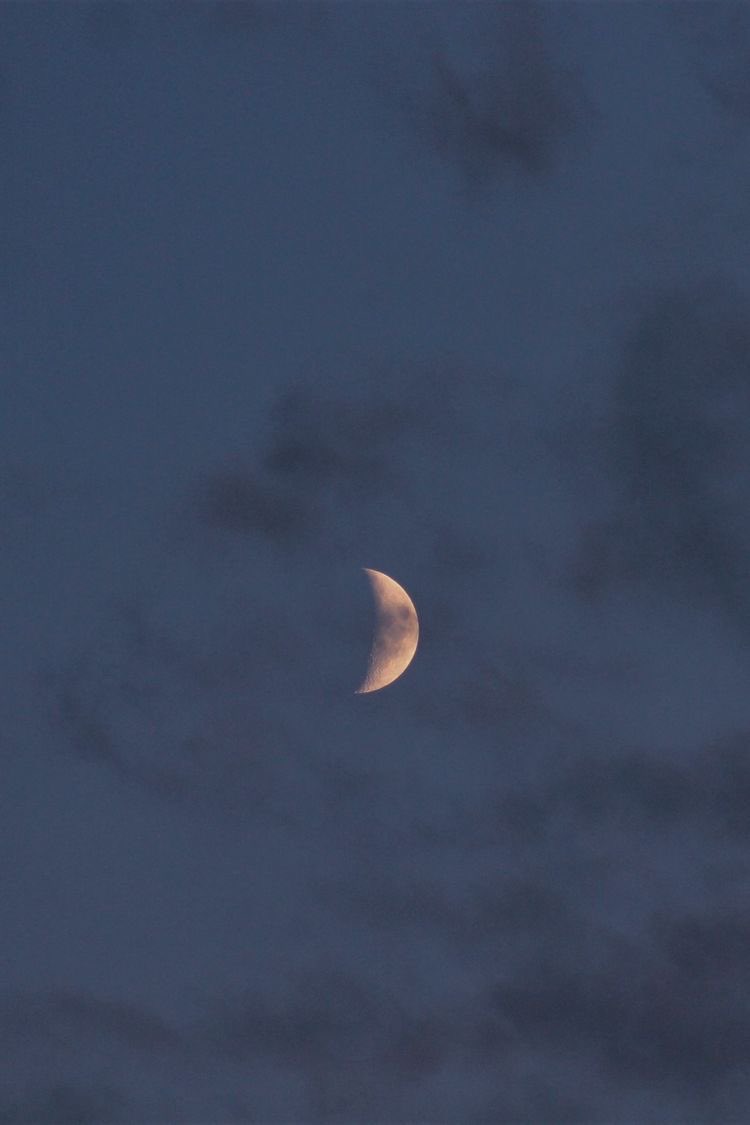 astro4pics's tweet image. 