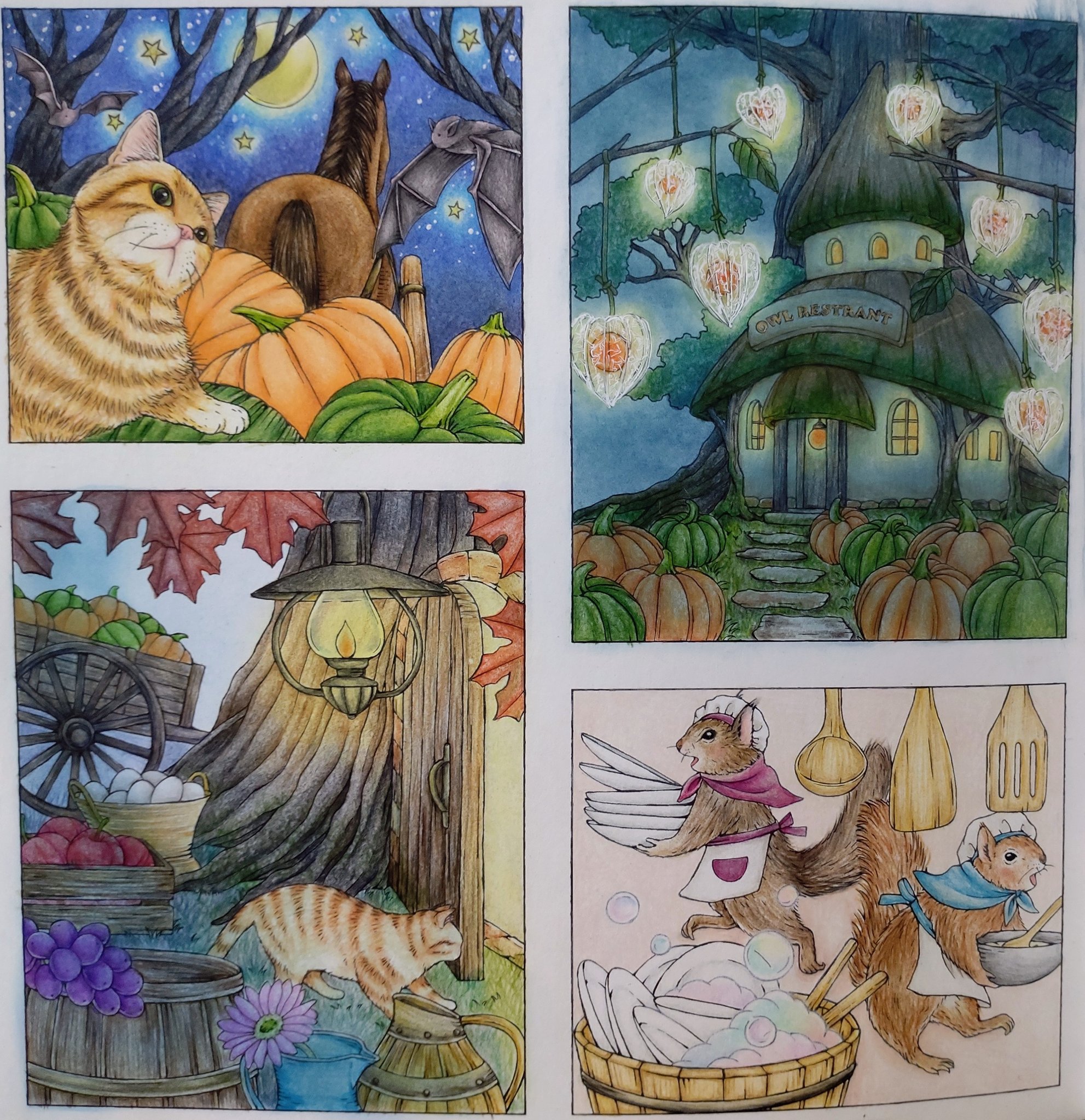 れおんの根っこ れおんの根っこ れおんの根っこ れおんの根っこ