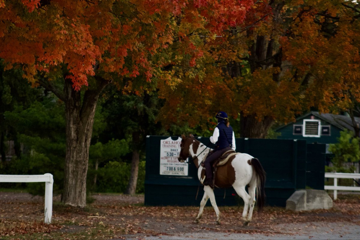 Mary Elizabeth (@missmaryeliza) on Twitter photo Good morning from a chilly Saratoga🍁🍂 Good morning from a chilly Saratoga🍁🍂