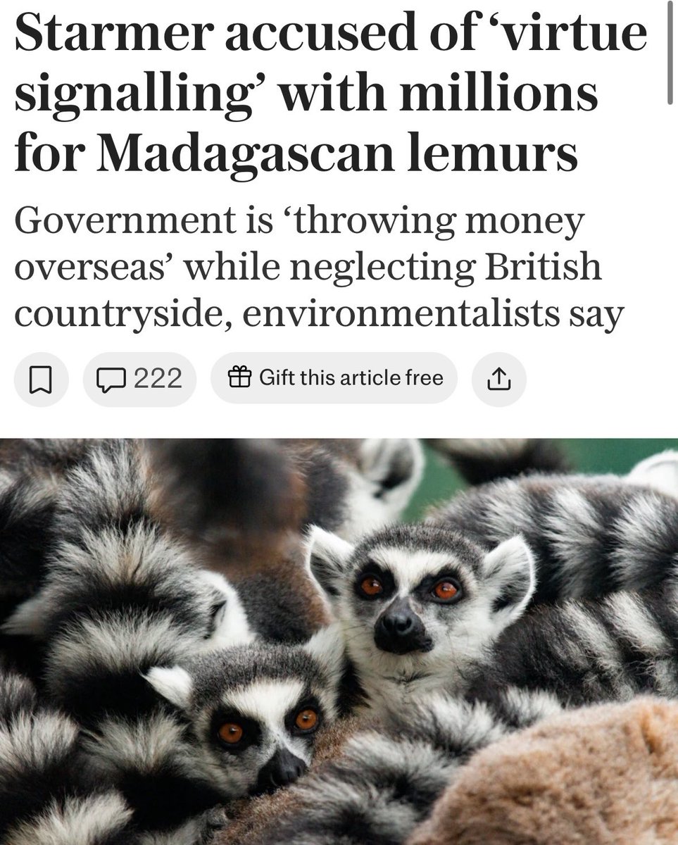 NoFarmsNoFoods's tweet image. Keir Starmer and the Labour government has pledged £35m for overseas conservation schemes – including supporting lemurs in Madagascar - yet they are wilfully punishing the custodians of the British countryside - British farmers.
