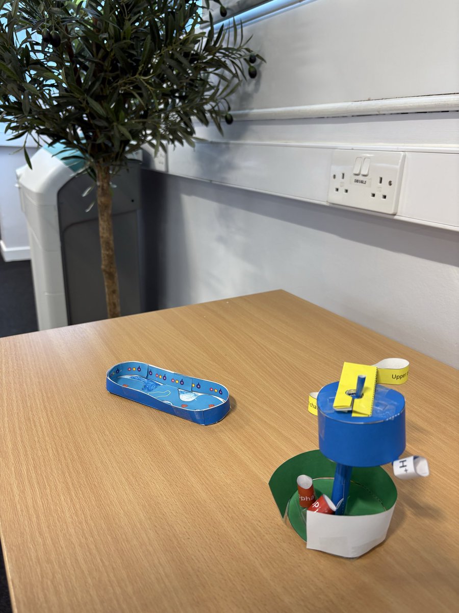 gavinmcstay2's tweet image. Time to talk mitochondria and test out the origami #mitochondria With @mymitomission. Thanks to the @LJMUPharmBioSci #biochemistry students who constructed the mitochondria and ATP synthase @OrigamiCells