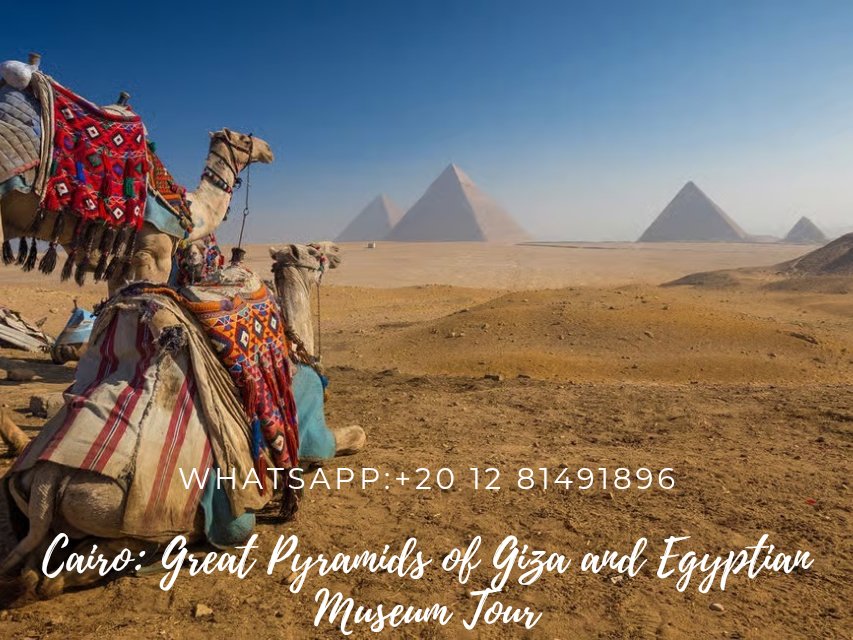 TourGreat149204's tweet photo. Cairo: Great Pyramids of Giza and Egyptian Museum Tour.
Discover the captivating history of ancient Egypt as you visit the Great Pyramids and learn about their construction in the Egyptian Museum.
WhatsApp:+20 12 81491896
Email:info@tourgreat0.com https://t.co/sAVPWjbU1o