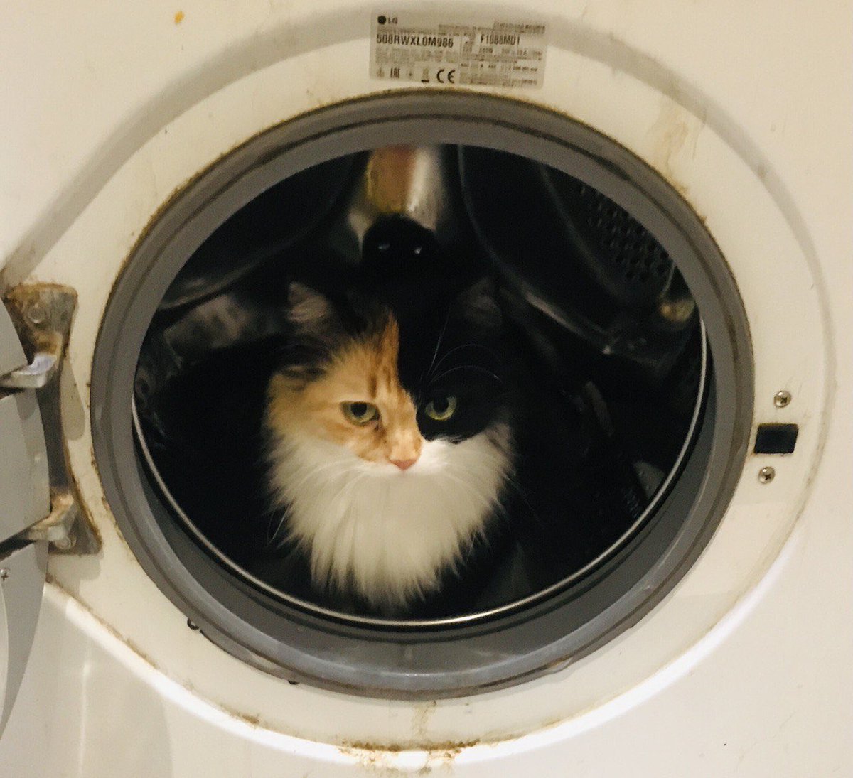 Ground control to major Tom