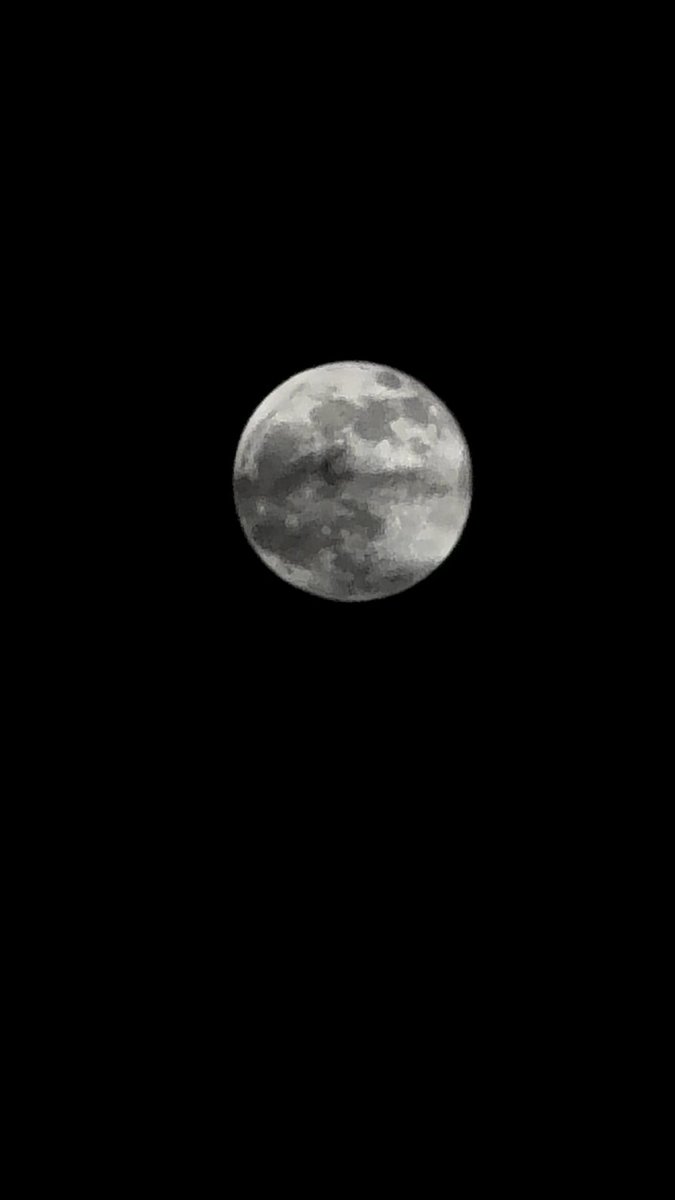 TechyPathshala's tweet image. What do you think which phone captured this picture?