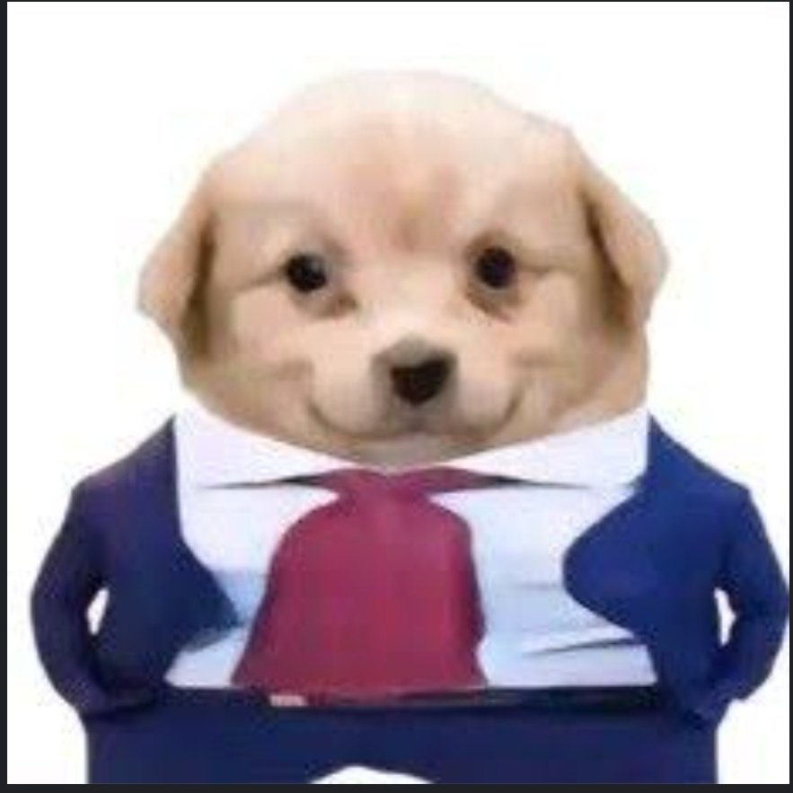 vipsolpup's tweet image. Buy $VIP on pump.fun
pump.fun/8ont4auqyUv5hJ…

#pumpfun #meme #dogecoin #btc $pepe $wif $btc