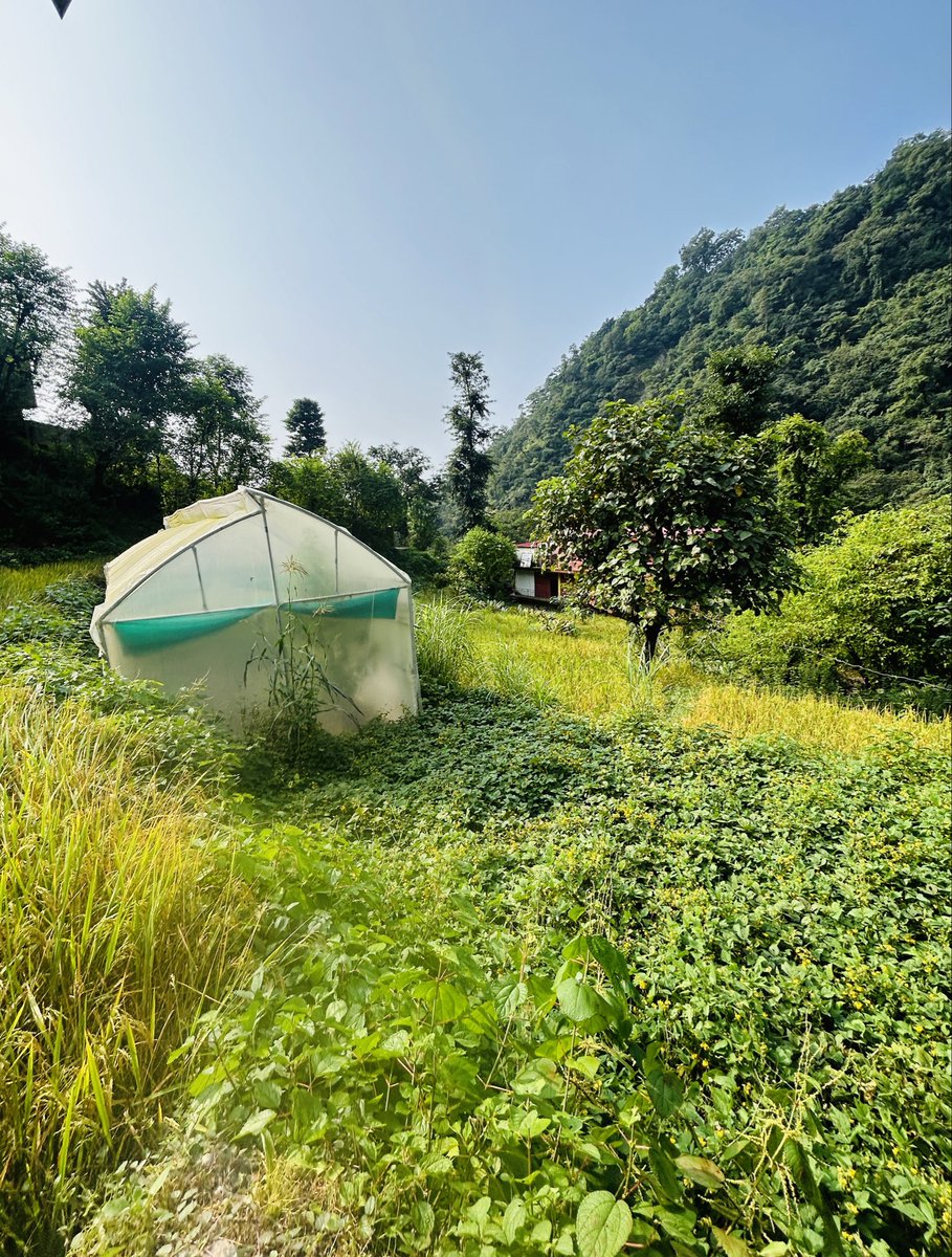 aaraynsh's tweet image. This place is just four hours away from Delhi.