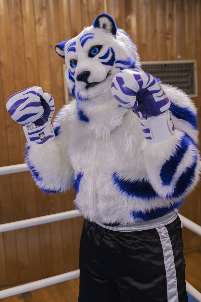 ショタっぽいレクスさん出た🥊🐯🥊
#獣BoxingGym