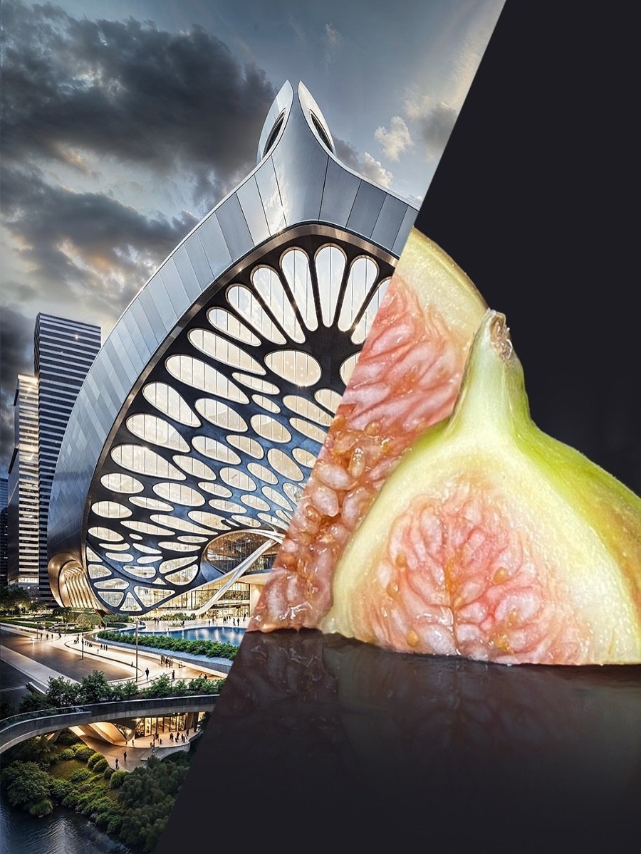 arcpresentation's tweet image. Biomimicry Architecture through AI