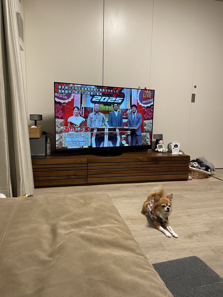 kazuire92's tweet image. もう観てない