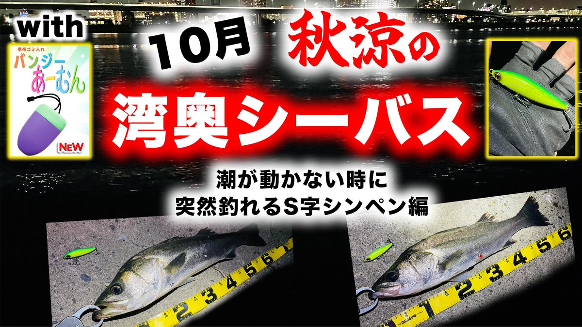 釣り好き 釣りは一生やるch (@turi_issyo) / Posts / X