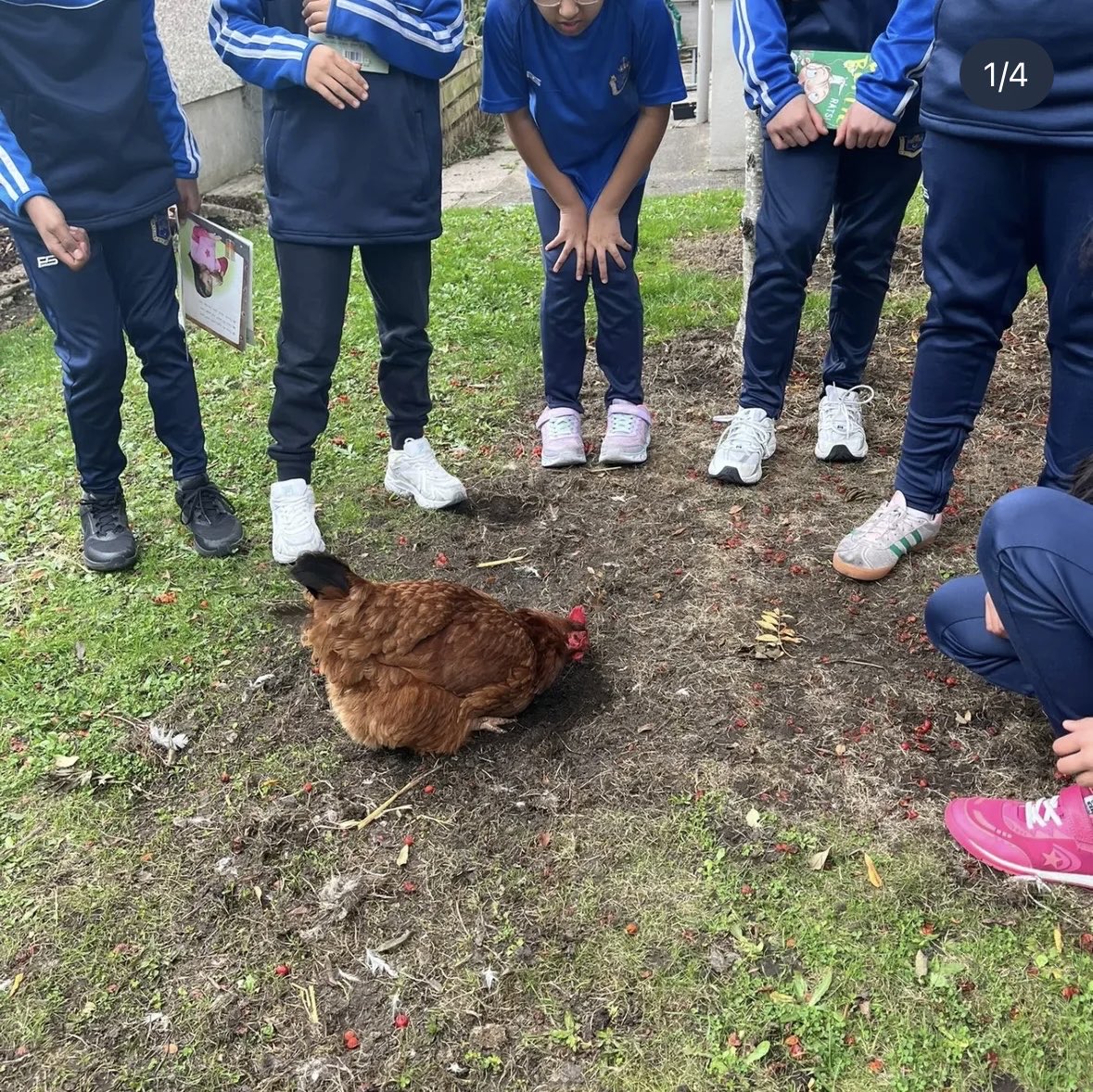 Sisters of Charity tweet media