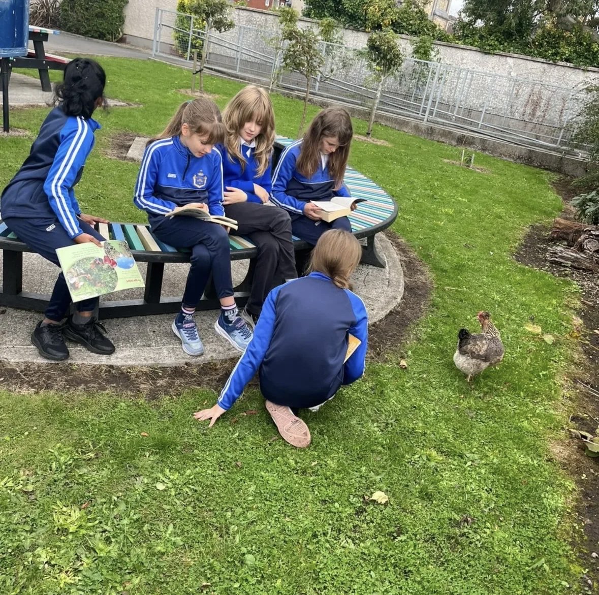 Sisters of Charity tweet media