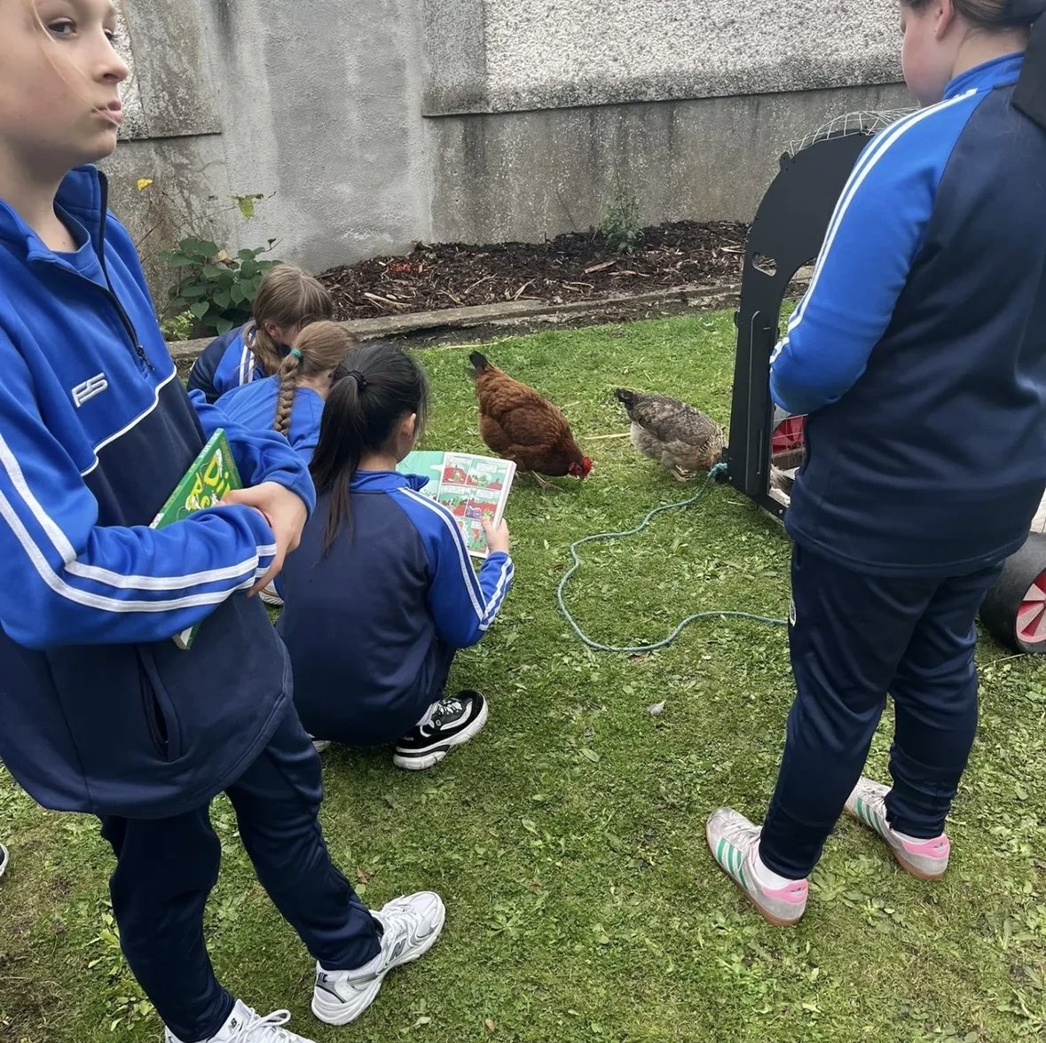 Sisters of Charity tweet media