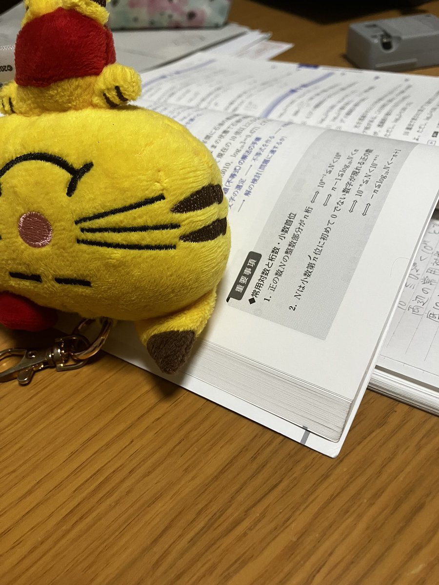 ネコますの頭重みあるからサクシードが閉じるのを抑えるおもりにちょうどいい