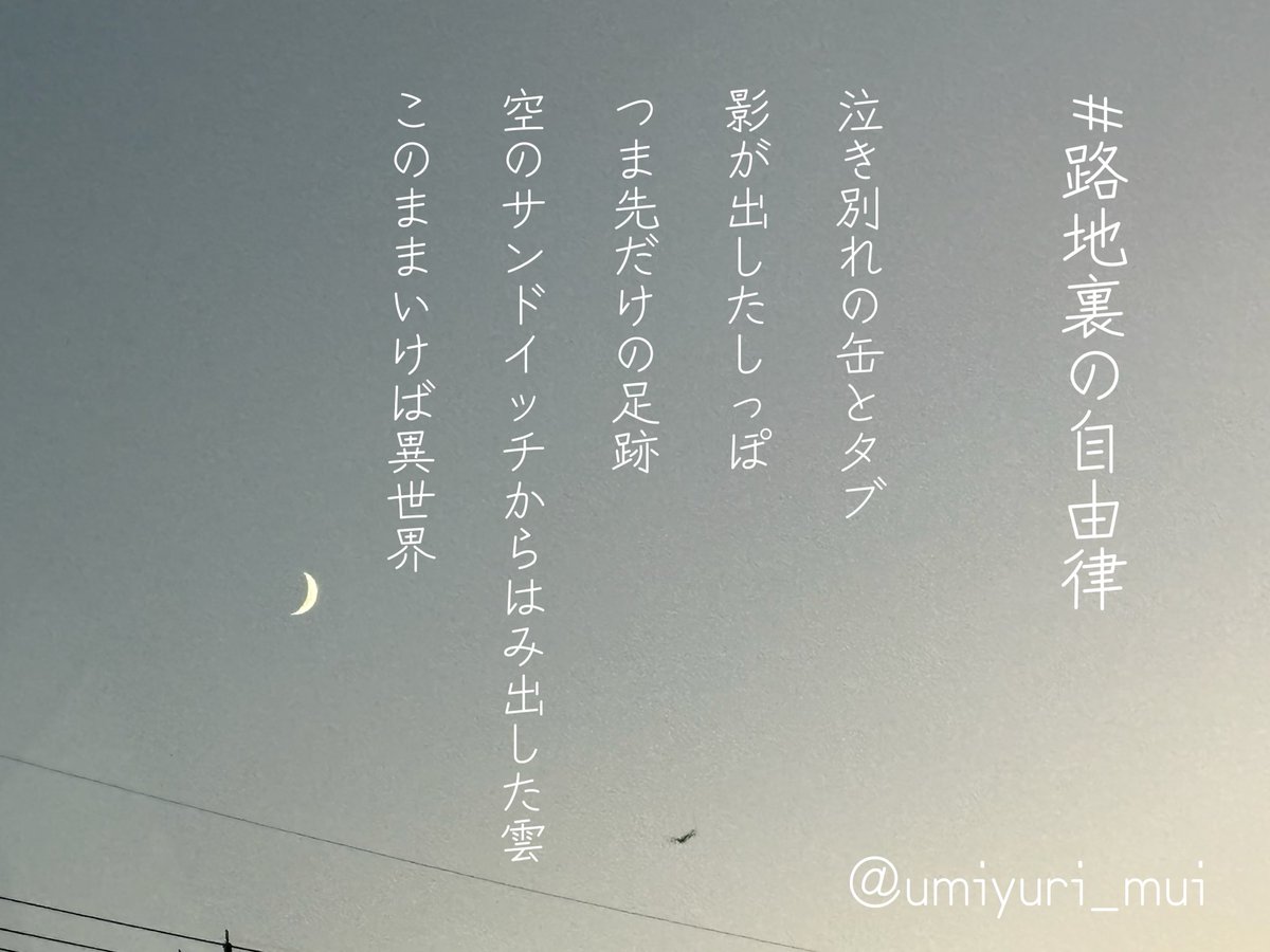#路地裏の自由律

泣き別れの缶とタブ
影が出したしっぽ
つま先だけの足跡
空のサンドイッチからはみ出した雲
このままいけば異世界