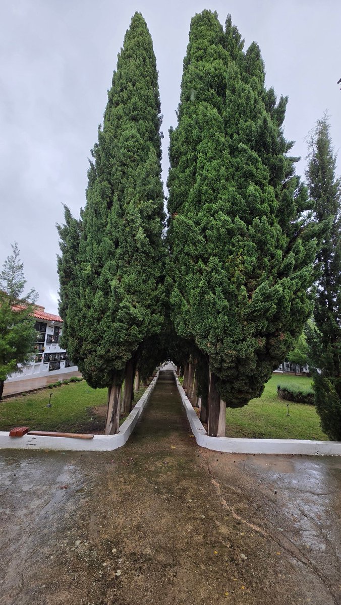 Rafa 🇪🇸 ✝️ tweet media