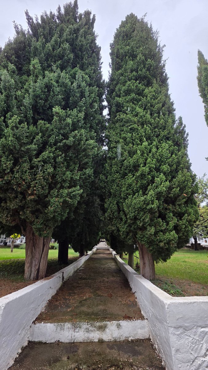 Rafa 🇪🇸 ✝️ tweet media