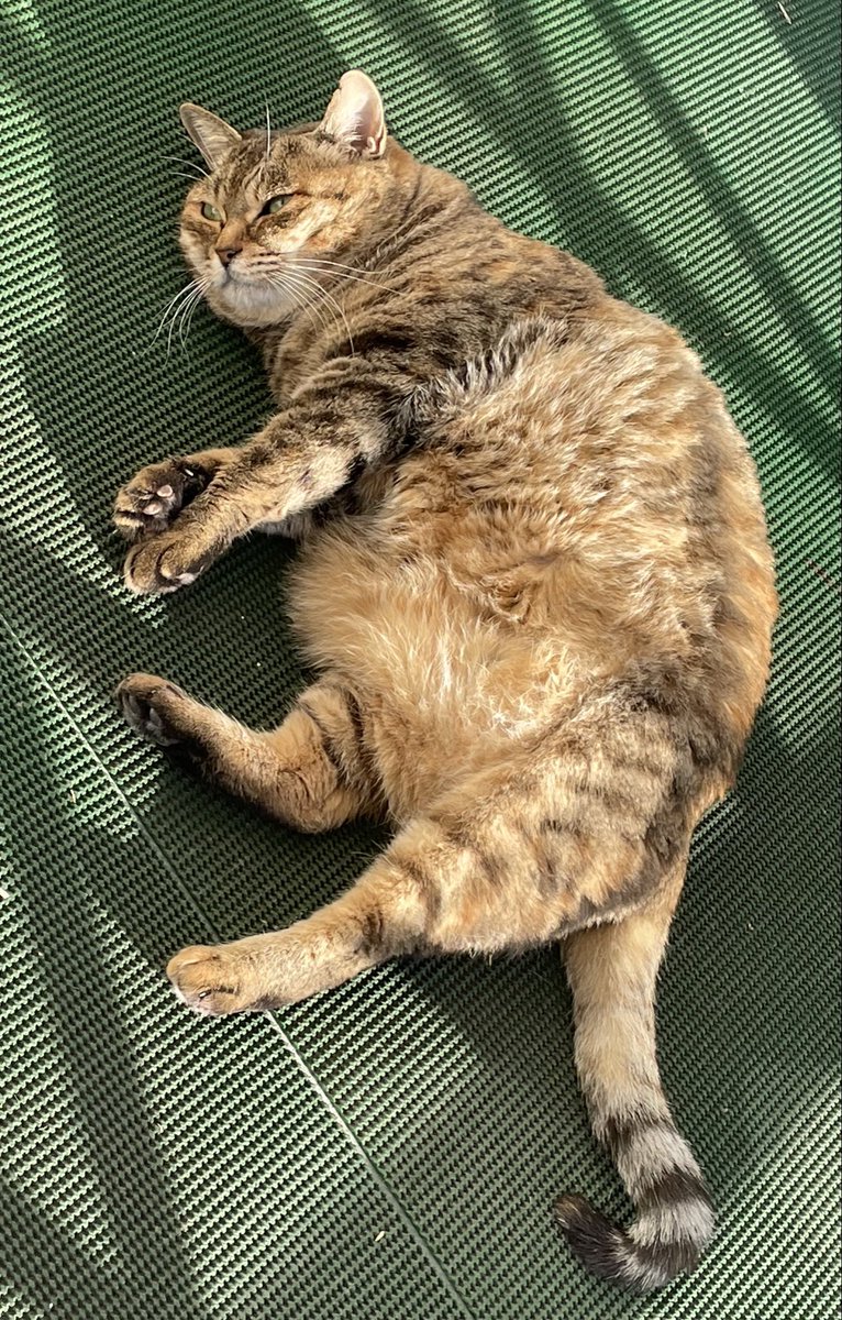 こんばんは。
東京は肌寒いくらいの秋夜です。
今夜は21時30分から生配信。

サカナクション山口一郎の今夜も雑談中。2025.10.11 youtube.com/live/BeCj8_lcc… <a href="/YouTube/">YouTube</a>より