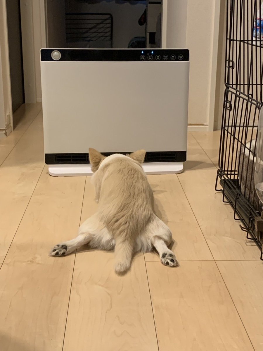 今年もこの季節が来ます☺️
ヒーターの前は最高っす！