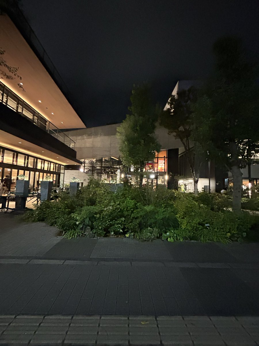 ここあ@お取引垢 tweet media