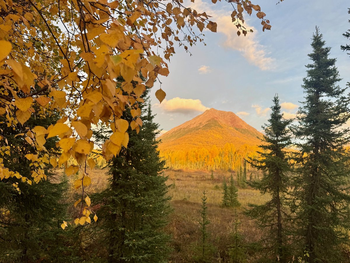 Franklin_Graham's tweet image. “To everything there is a season, A time for every purpose under heaven.” (Ecclesiastes 3:1-2) #Alaska #Fall