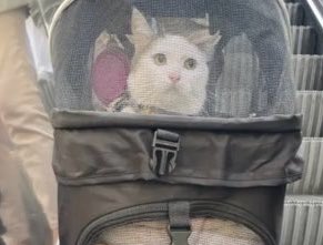 Bizim köyde onedio yoktu tm