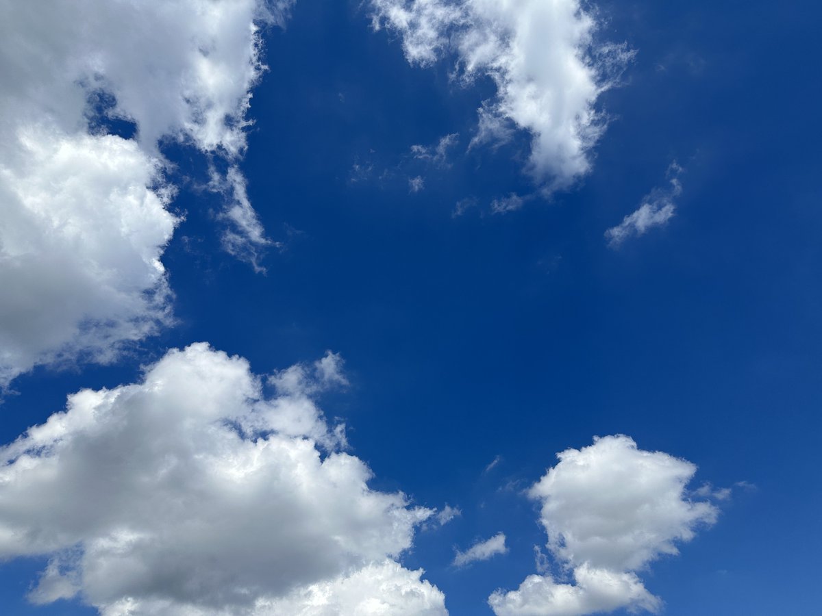 かつての過去を思い出す時がある。

記憶力というこの世界の中でも思い通りにならない事の一つ。

どうしても覚えていたかった甘美なひととき。

一度だけの奇跡のような幸せな邂逅。

自分の全てを肯定出来た時。

そんな事を忘れて。

晴れ空の下今日も歩く。

#詩 
#キリトリセカイ 
#龍のうたたね