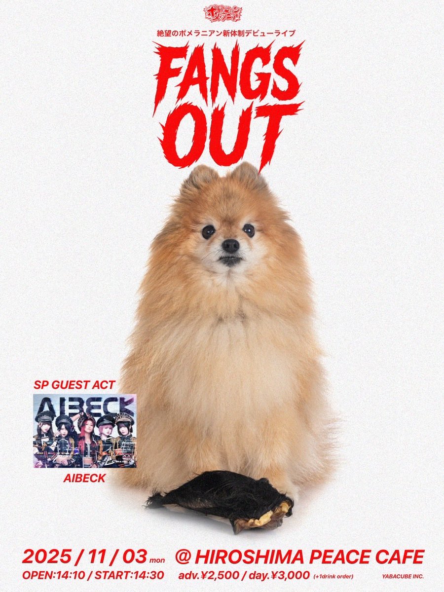 【ポメラニアン クロ】 ポメラニアン♂2510D0971 - YouTube