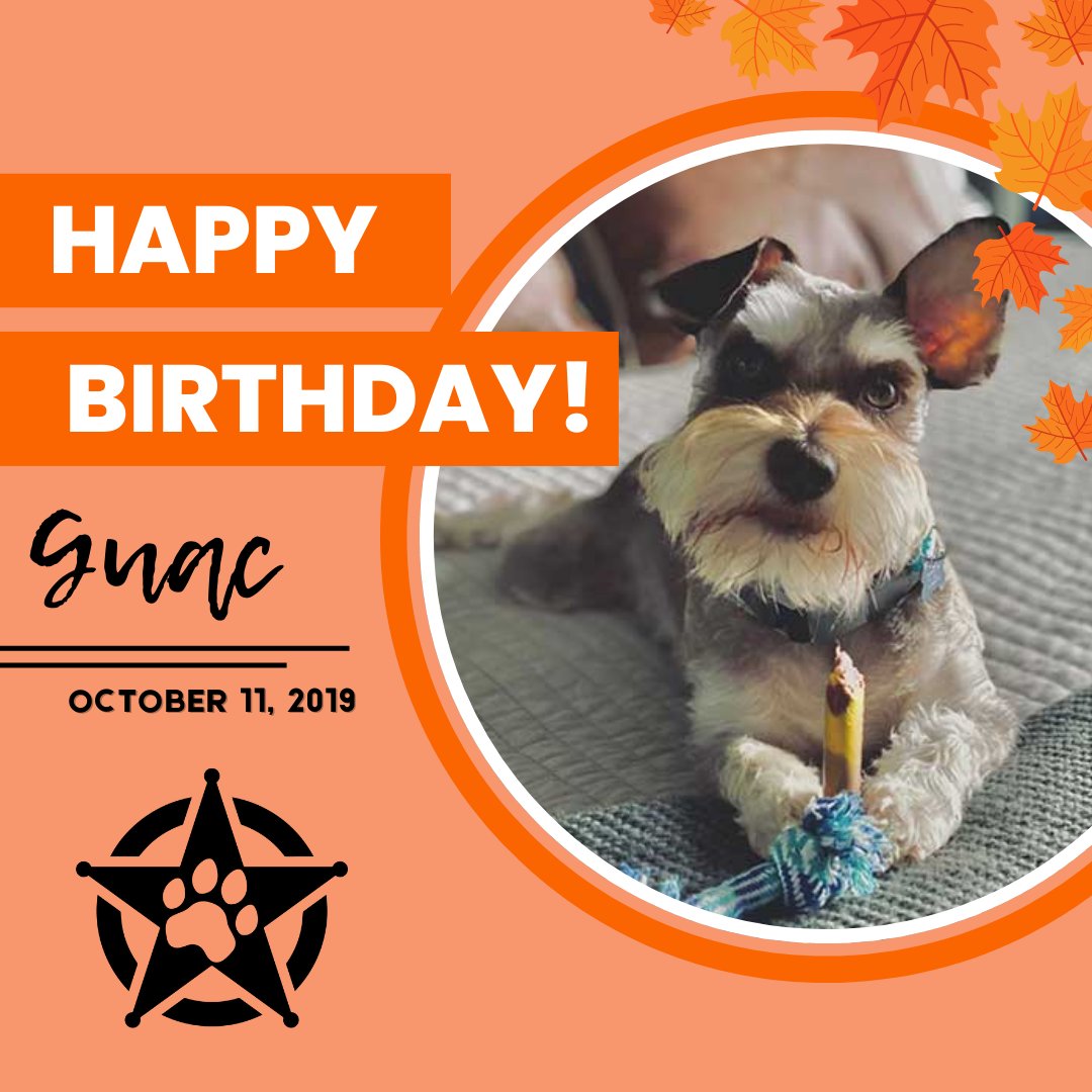 🥳🐾 Holy Guacamole — it’s Guac’s Birthday! 🎂 This P3 pup is nacho average therapy dog — he’s the life of the paw-ty and brings joy wherever he goes. Drop a 🥑 or 🎉 in the comments to wish Guac the happiest of birthdays! 💛

#okstate #pettherapy