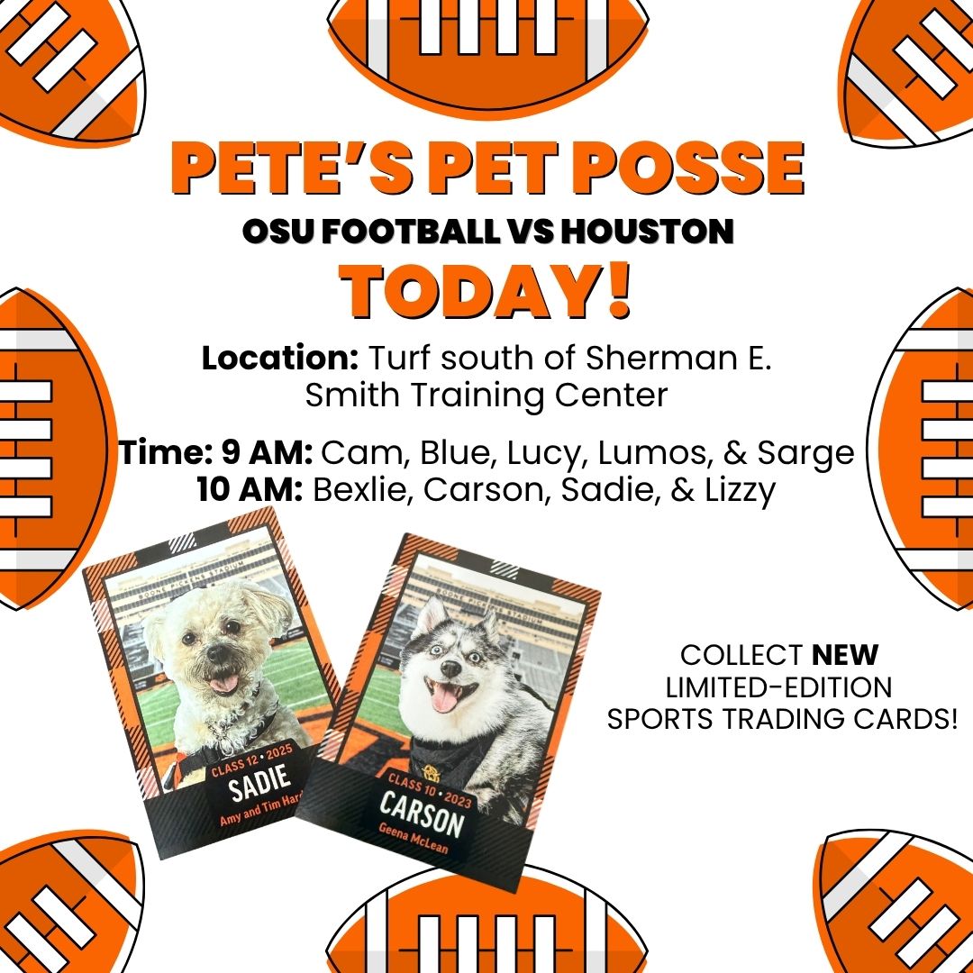 🎉🐾 Today’s the day, Cowboy fans! 🧡

We're bringing the wag to the Block Party! Each pup has a special edition football trading card! 🤩

9-10am: Cam, Blue, Lucy, Lumos &amp; Sarge  
10-11am: Bexlie, Carson, Sadie &amp; Lizzy  

Grab a card and cheer loud for your Cowboys! 🏈🐶