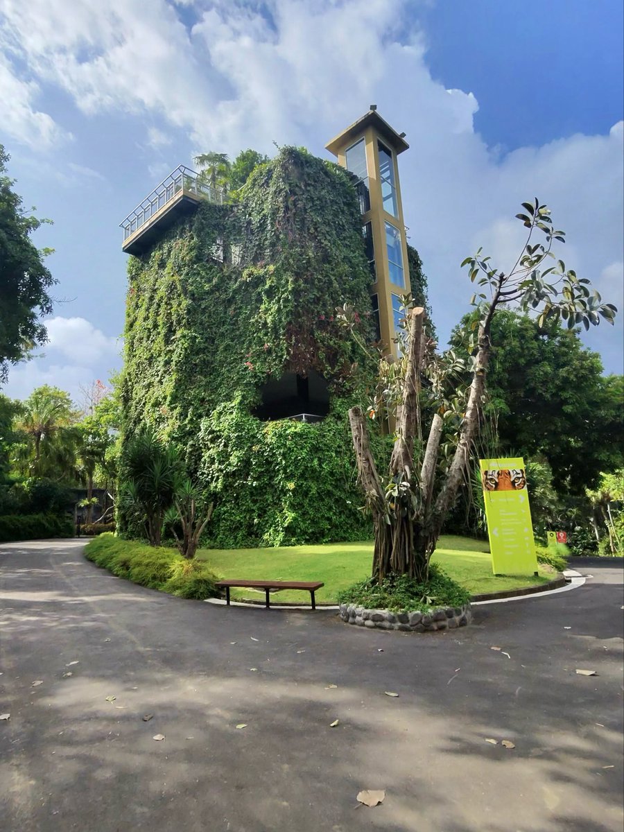 iamgaurangdesai's tweet image. after rebalancing his portfolio boi decided to touch some grass. 

greens matter when it’s blood bath.