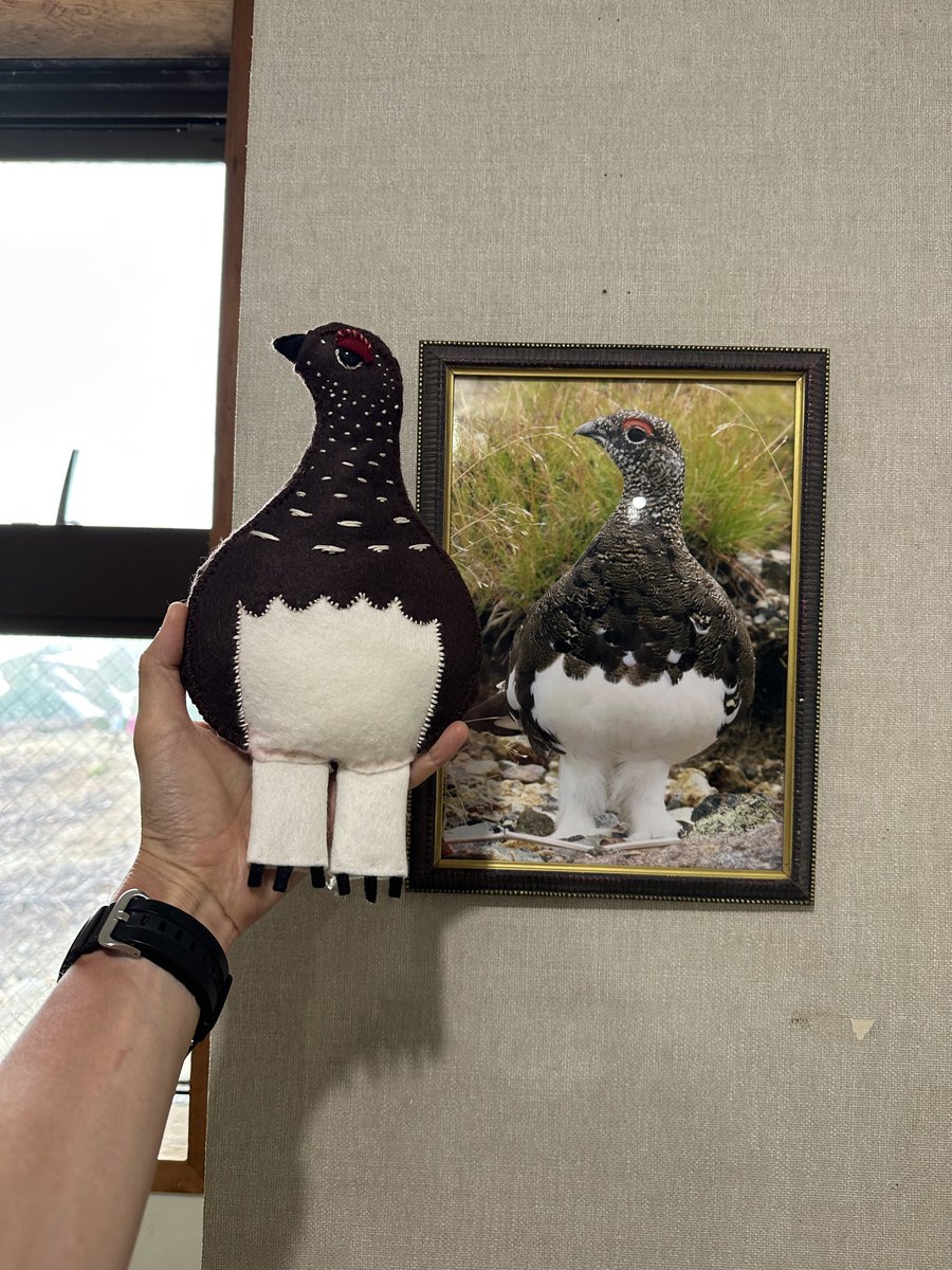 Outdoor_Giraffe's tweet image. このライチョウの写真が好きすぎて立山黒部アルペンルートのパスケースを作った