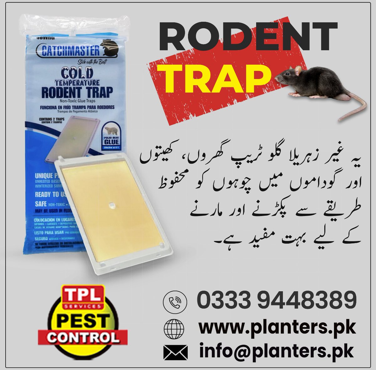 TPLPestControl's tweet image. گھروں اور گوداموں میں چوہوں کا خاتمہ اب آسان!
غیر زہریلا رَوڈنٹ ٹریپ محفوظ،اور قابلِ اعتماد حل
📷 Call: 0512303380
📷 website: planters.pk
visit our daraz store: daraz.pk/shop/gsyzdz7m
#TPLPestControl  #Insecticide #MosquitoControl #FlyControl #TickControl #PestFree