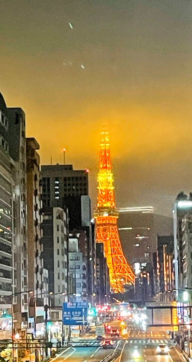 Tokyo Tower on a rainy night