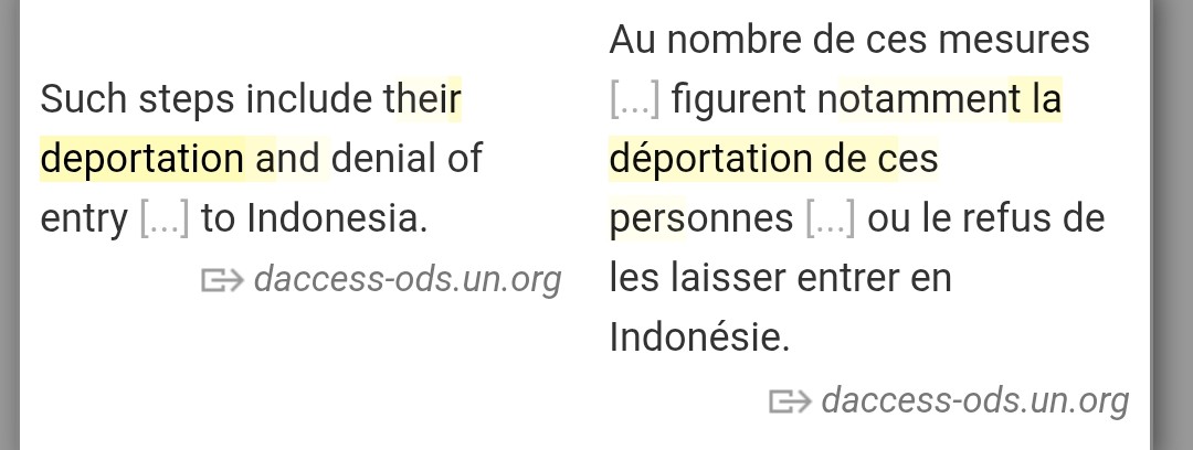 Eloïse Gonzalez 🔻 tweet media