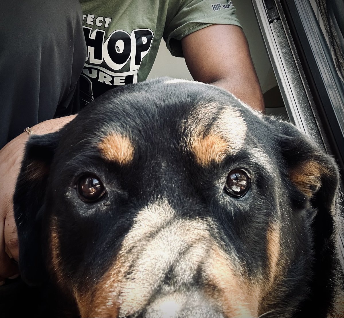 _tontoneric's tweet image. My 2 favorite things to do on here is watch dog videos and get dumbasses suspended 💯
Yin Yang / Balance In All Things ☯️🙏🏽⚖️
#saturdayfun #doglove #moderator