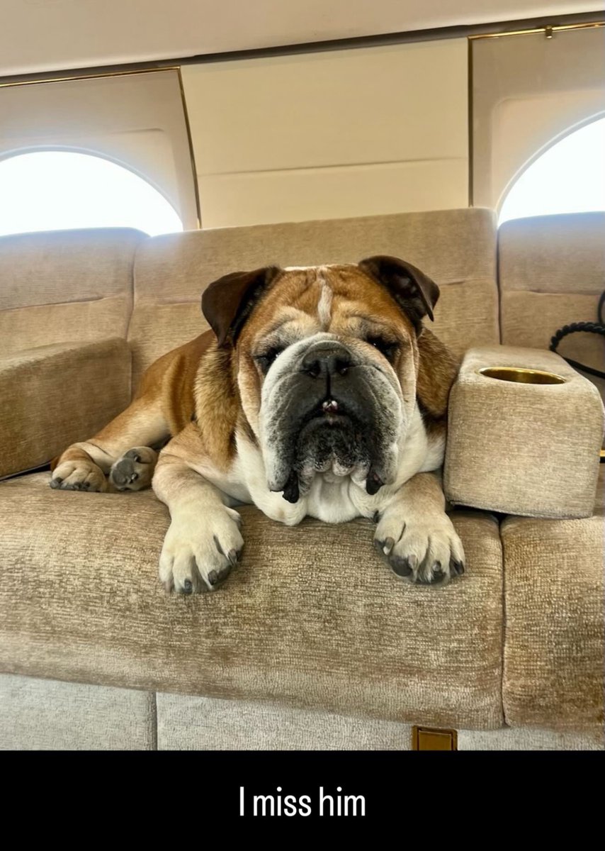 La Gazzetta Ferrari tweet media