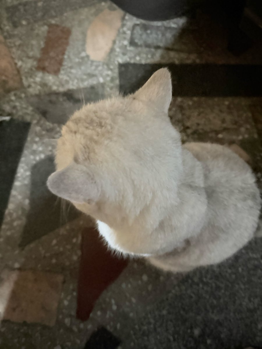 你会安静陪着我