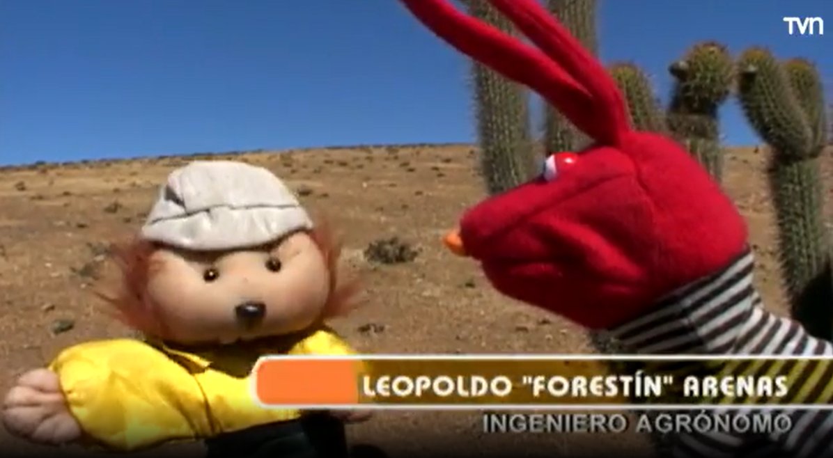TVN tweet media