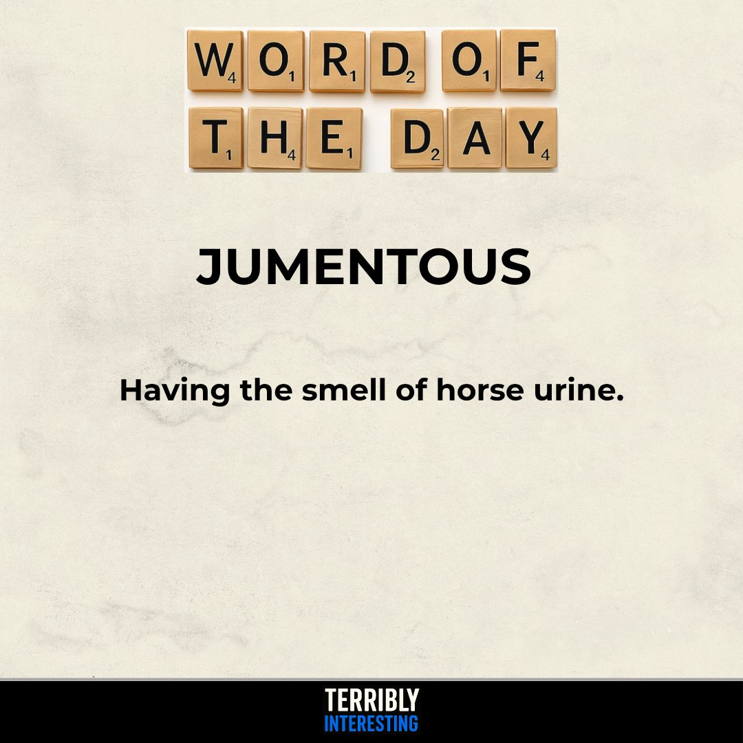 Word of the Day