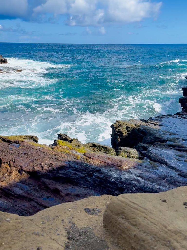 VenessaEsp's tweet image. views were worth all 1,048 step 🌞🌊🌺