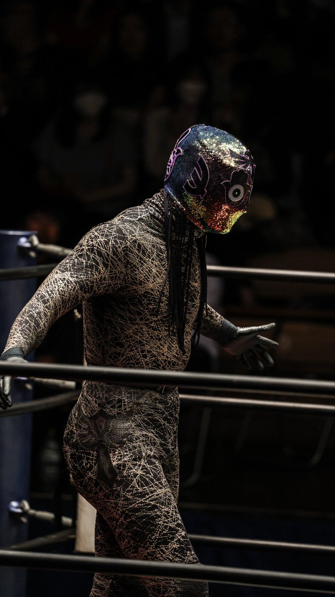 pw_mochi's tweet image. 2025.10.8
THE GATE OF VICTORY 2025
後楽園ホール

#DRAGONGATE
#シュン・スカイウォーカー
#帆希