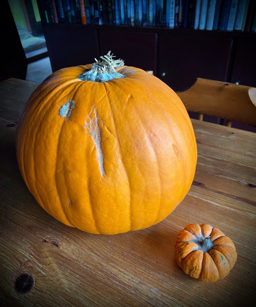 AilishSinclair's tweet image. October decor 🎃