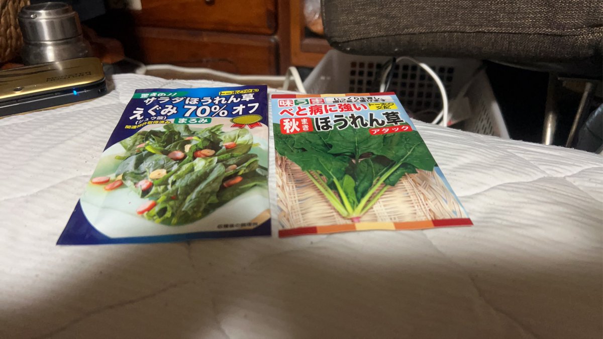 畑に植えた白菜、キャベツ、レタス、ブロッコリー。順調です。みかんも身を付けてます。これからほうれん草を植えます。どれも初めてなのでどうなるか楽しみです。